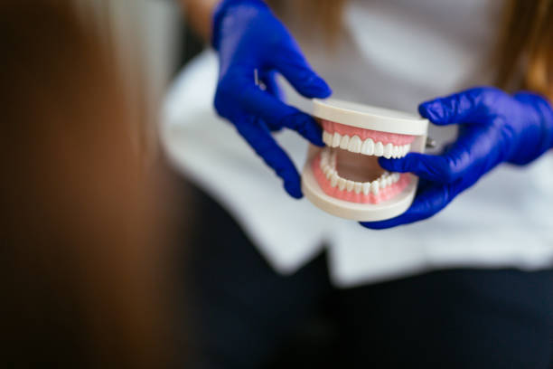 Best Preventive Dentistry  in Tellico Plains, TN